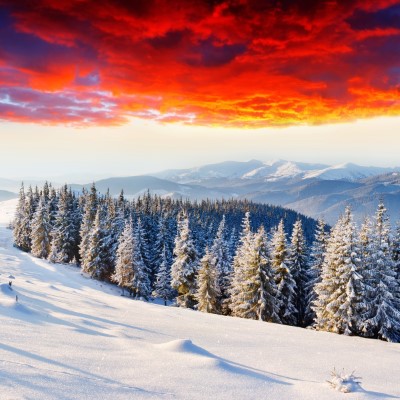 1920 x 1080 HD Wallpapers 2041